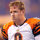 Illustration for article titled Every Team In NFL Calls Bengals To Let Them Know They Dont Want Carson Palmer